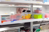 2025-07-02 Lab647